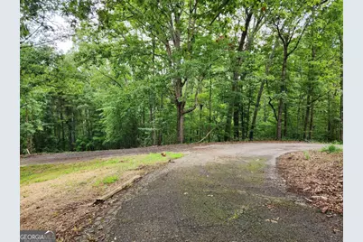 1397 McPherson Church Road, Dallas, GA 30132 - Photo 3