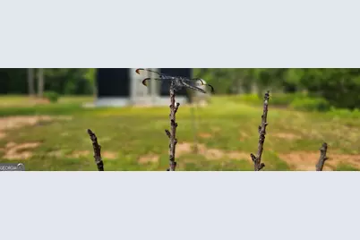 654 Liberty Hill Road, Milner, GA 30257 - Photo 49