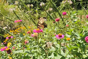 140 Palmetto Pines Rd, Palmetto, GA 30268 - Photo 49