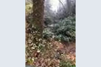 0 Allen Cove Road, Rabun Gap, GA 30568 - Photo 5