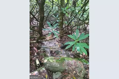 0 Allen Cove Road, Rabun Gap, GA 30568 - Photo 9