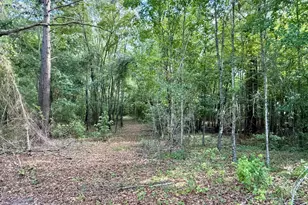 1430 Old Poor Robin Rd, Sylvania, GA 30467 - Photo 25