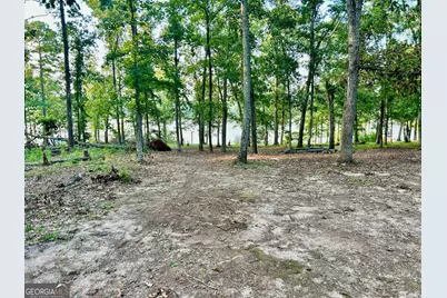 1485 Broad River Scenic Drive, Tignall, GA 30668 - Photo 17