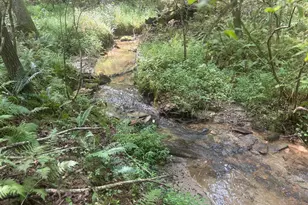 125 Winding Creek Road, Blue Ridge, GA 30513 - Photo 35