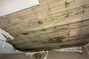 1216 Buena Vista Ave, Macon, GA 31206 - Photo 5