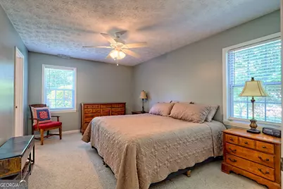 101 Long Street, Demorest, GA 30535 - Photo 17