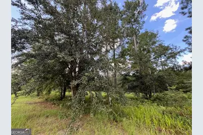 19 Windmill Palm, Brunswick, GA 31523 - Photo 7