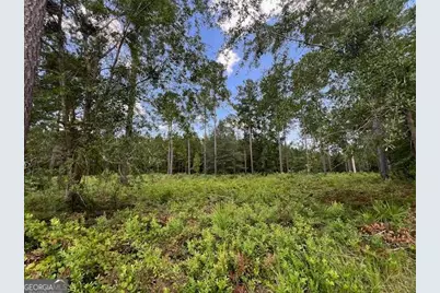 19 Windmill Palm, Brunswick, GA 31523 - Photo 1