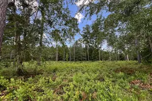 19 Windmill Palm, Brunswick, GA 31523 - Photo 1