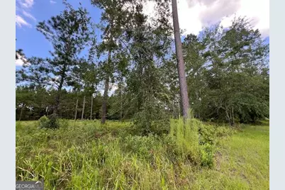 19 Windmill Palm, Brunswick, GA 31523 - Photo 3