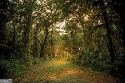 19 Windmill Palm, Brunswick, GA 31523 - Photo 25