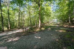 55 Santa Pera Dr, Cleveland, GA 30528 - Photo 41