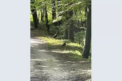 55 Santa Pera Drive, Cleveland, GA 30528 - Photo 19