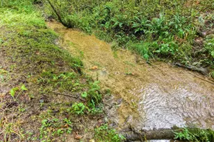 580 Emmaus Rd, Epworth, GA 30541 - Photo 7