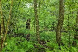 580 Emmaus Rd, Epworth, GA 30541 - Photo 9