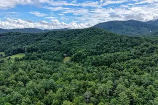 580 Emmaus Rd, Epworth, GA 30541 - Photo 11