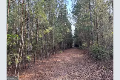 1139 Henry Walcott Road NW, Ludowici, GA 31316 - Photo 15