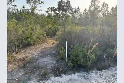 1139 Henry Walcott Road NW, Ludowici, GA 31316 - Photo 17