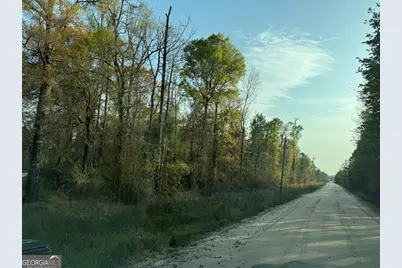 1139 Henry Walcott Road NW, Ludowici, GA 31316 - Photo 19