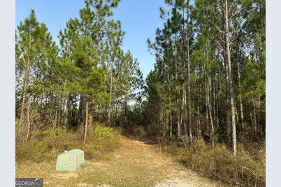 1139 Henry Walcott Road NW, Ludowici, GA 31316 - Photo 11
