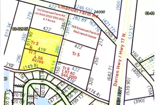 Tr 2 &amp Tr 3 Emanuel Farm Rd, Brunswick, GA 31525 - Photo 1