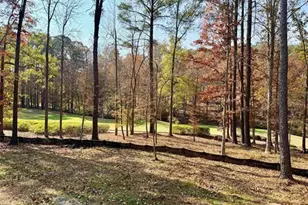 1030 Pearls Ct, Greensboro, GA 30642 - Photo 3