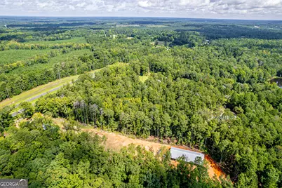 0 Braswell Lake Road, Gray, GA 31032 - Photo 5