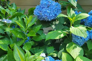 7 Quail Run, Decatur, GA 30035 - Photo 31