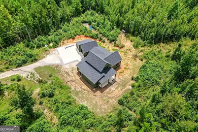 3962 Elberton Highway, Lincolnton, GA 30817 - Photo 47