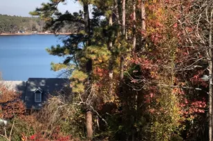 329 Chickadee Ct, Monticello, GA 31064 - Photo 53