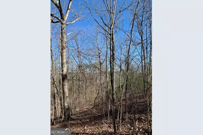 1986 Jones Mountain Road, Jasper, GA 30143 - Photo 5