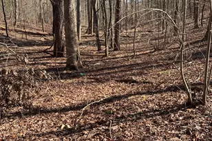 1986 Jones Mountain Rd, Jasper, GA 30143 - Photo 1