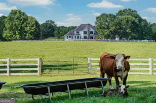 956 Al Roberts Rd, Senoia, GA 30276 - Photo 121