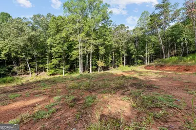 2041 Long Branch Road #TRACT 2A, Dahlonega, GA 30533 - Photo 3