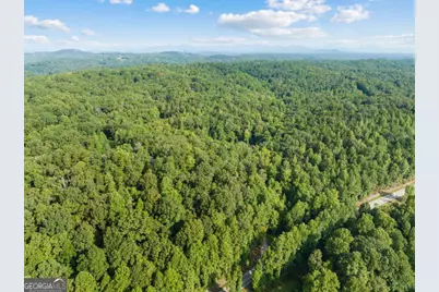 2041 Long Branch Road #TRACT 2A, Dahlonega, GA 30533 - Photo 19