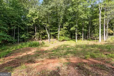 2041 Long Branch Road #TRACT 2A, Dahlonega, GA 30533 - Photo 5