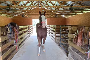 3255 Alvaton Rd, Gay, GA 30218 - Photo 29