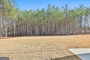 16 Nelson Wy, Williamson, GA 30292 - Photo 43