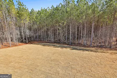 16 Nelson Way #38, Williamson, GA 30292 - Photo 39