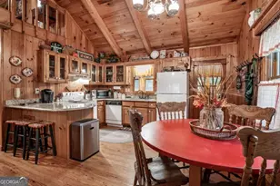 263 Indian Cave Rd, Ellijay, GA 30536 - Photo 7