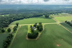 7890 Poplar Springs Rd, Byromville, GA 31007 - Photo 55