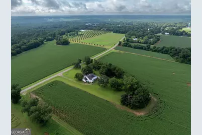 7890 Poplar Springs Road, Byromville, GA 31007 - Photo 49