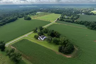 7890 Poplar Springs Rd, Byromville, GA 31007 - Photo 49