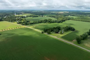 7890 Poplar Springs Rd, Byromville, GA 31007 - Photo 47