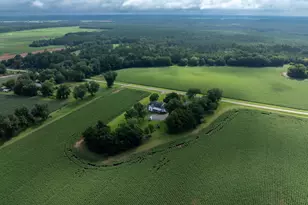 7890 Poplar Springs Rd, Byromville, GA 31007 - Photo 67