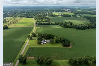 7890 Poplar Springs Road, Byromville, GA 31007 - Photo 57