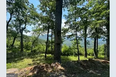 Lt 64/65 Rocky Knob Estates, Young Harris, GA 30582 - Photo 11