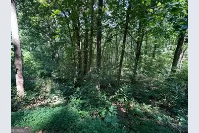Lt 64/65 Rocky Knob Estates, Young Harris, GA 30582 - Photo 7