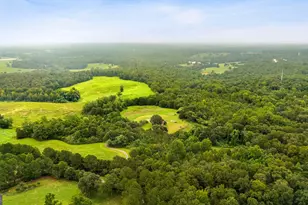 380 Stephens Rd, Eastanollee, GA 30538 - Photo 37