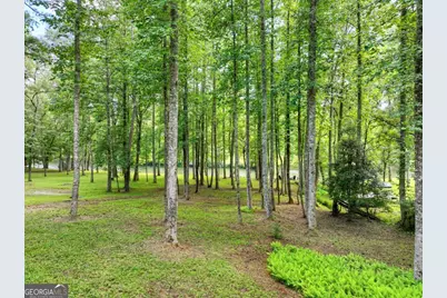 125 Blackberry Drive, Mineral Bluff, GA 30559 - Photo 29